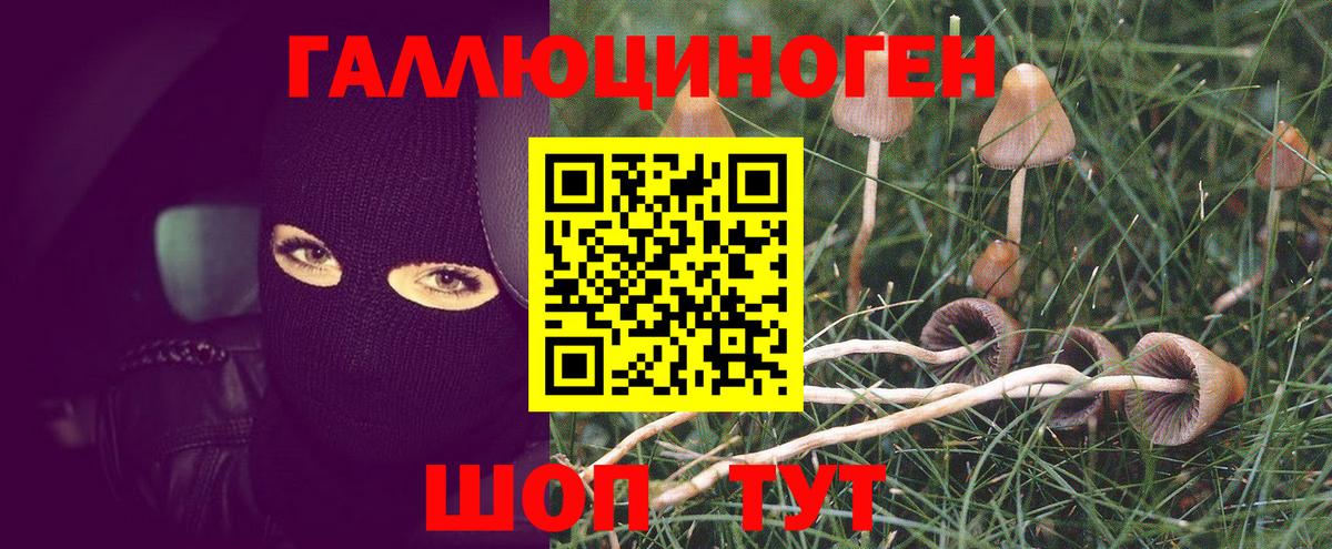 Рыбинск  Галлюциногенные грибы мицелий  Вход с VPN  Псилоцибиновые грибы Cubensis 